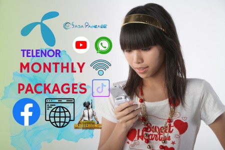 Screenshot of Telenor Monthly Internet Packages