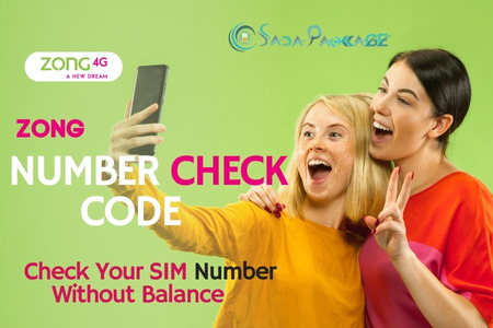 SS of Zong Number Check Code